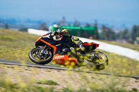 cadwell-no-limits-trackday;cadwell-park;cadwell-park-photographs;cadwell-trackday-photographs;enduro-digital-images;event-digital-images;eventdigitalimages;no-limits-trackdays;peter-wileman-photography;racing-digital-images;snetterton;snetterton-no-limits-trackday;snetterton-photographs;snetterton-trackday-photographs;trackday-digital-images;trackday-photos